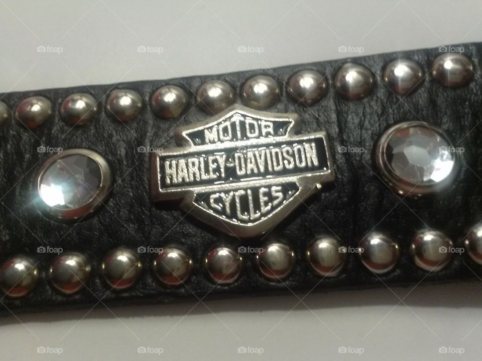 Harley Davidson Emblem Shield on belt