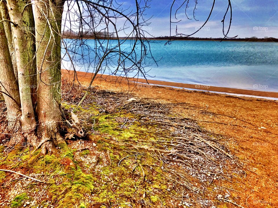 Beautiful spring in Indiana 