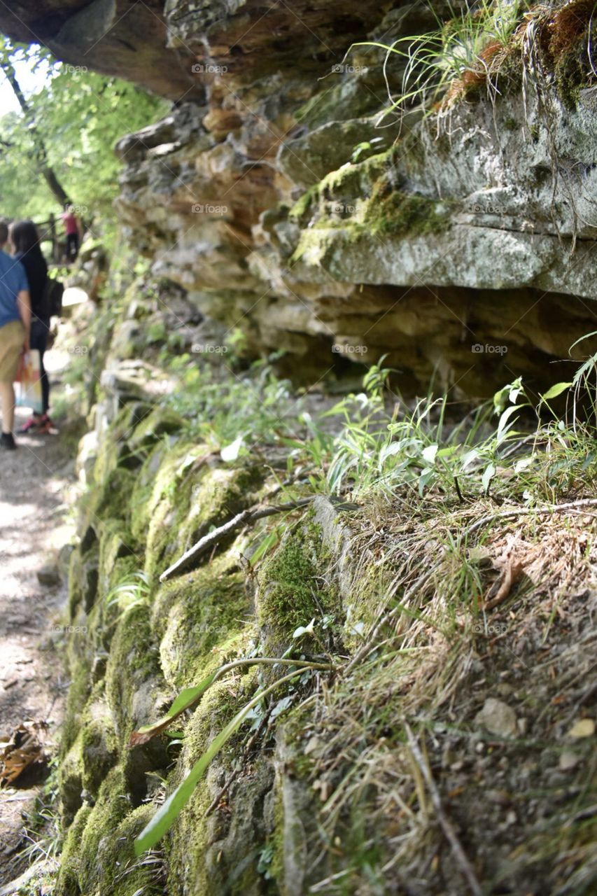 Rock wall along path 