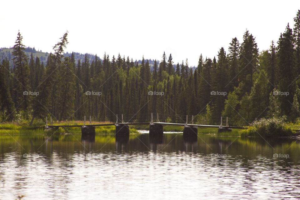 Bridge over a lake near the Denali area