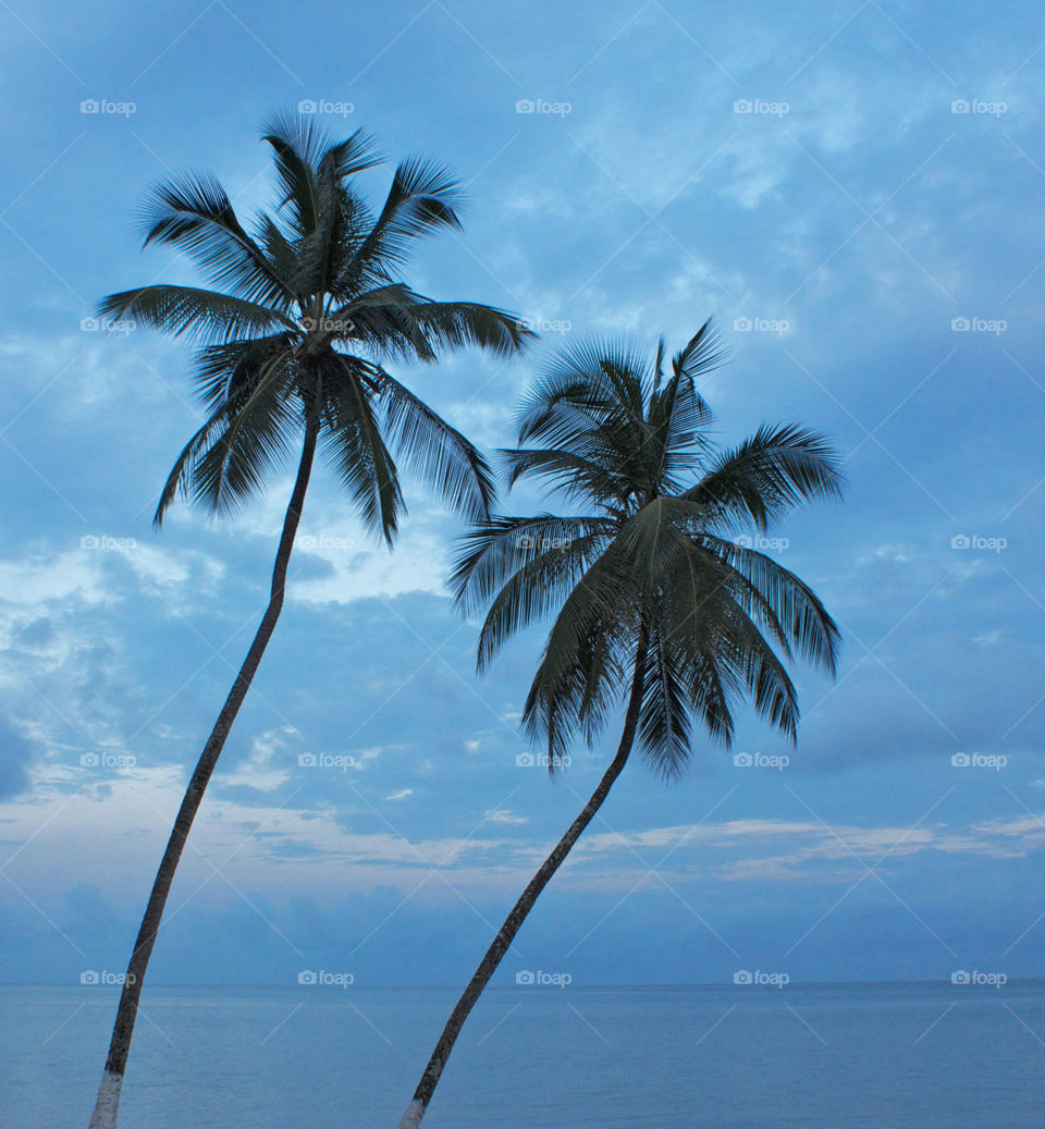 Travel around the world