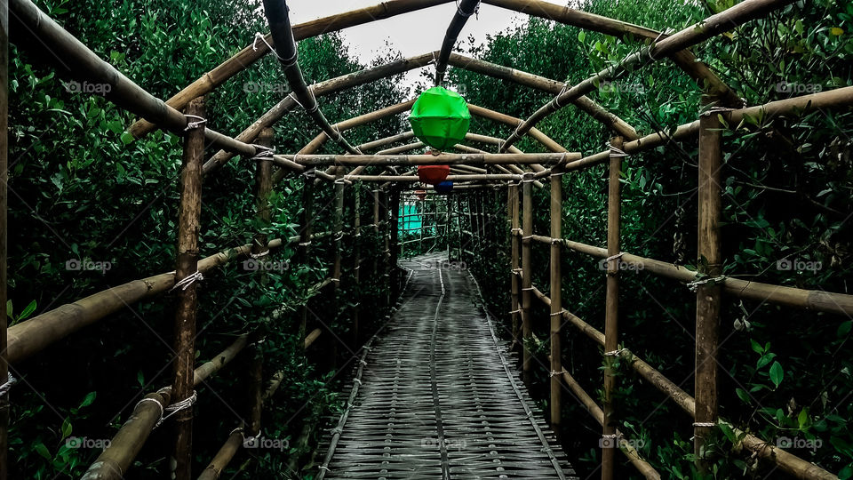 Walking to the future