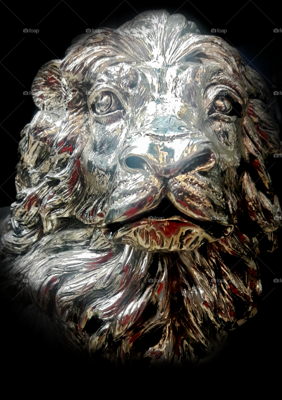 Solver lion