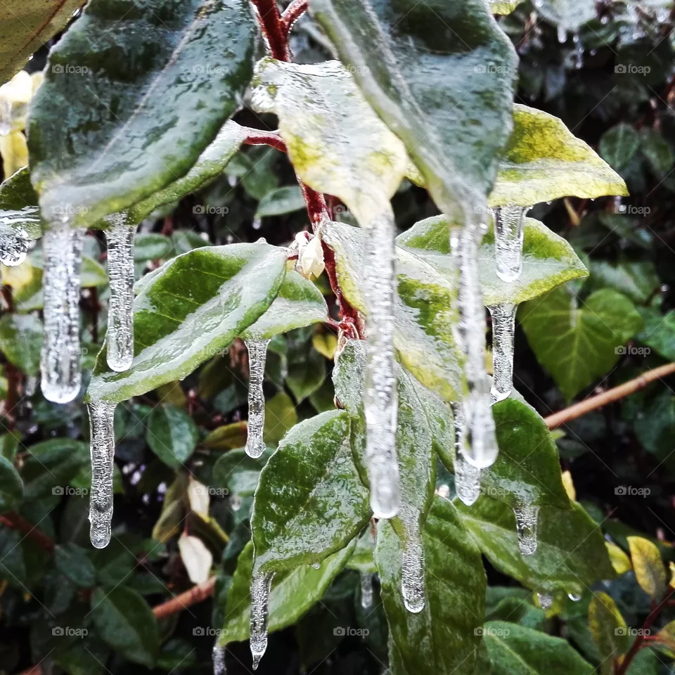 cold day