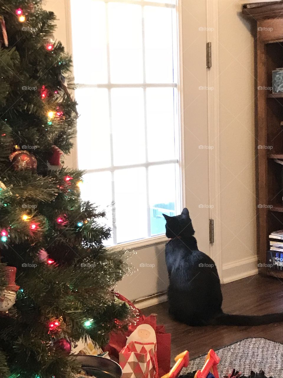 Waiting for Santa Claws