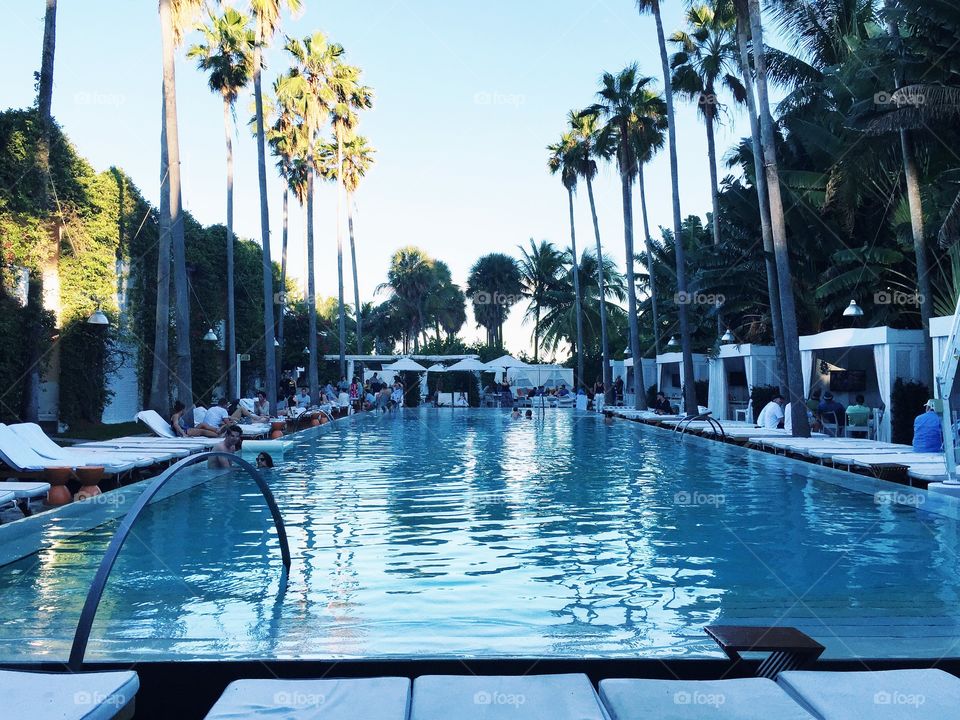 Afternoon at the Delano pool in South Beach Miami