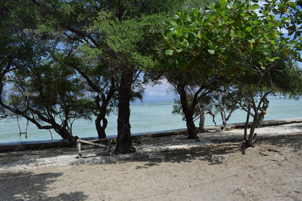 landscape at the beach