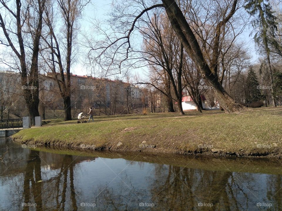 city park and river shore nature landscape