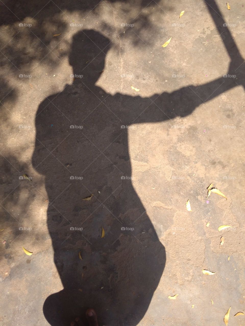 This is my shadow