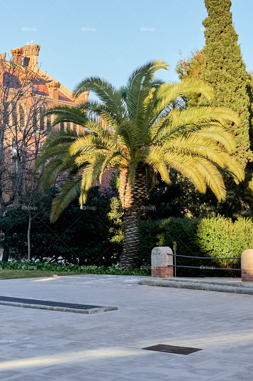 Early Spring Afternoon Lights in Saint Paul's Hospital (Barcelona) 