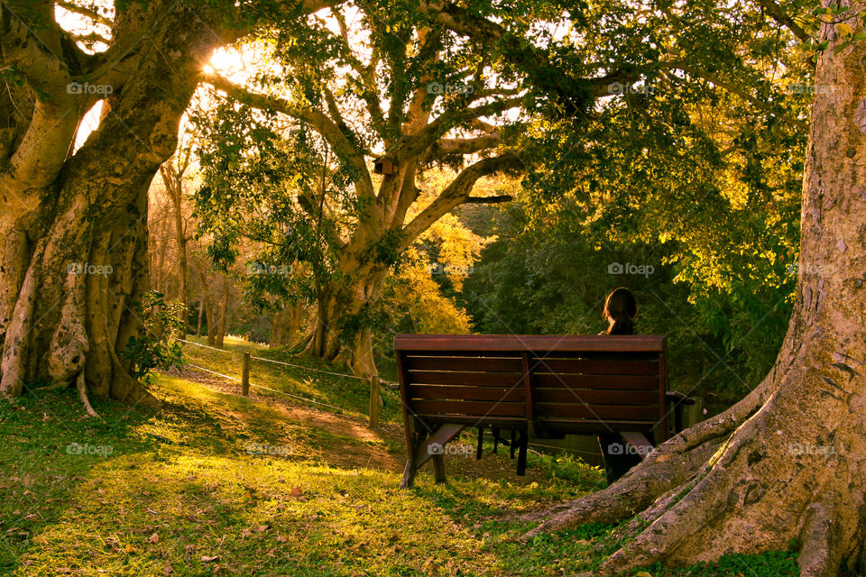 Sunset evening contemplation