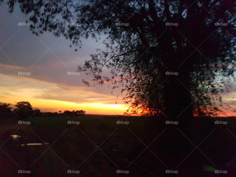 Beautiful nightfall.