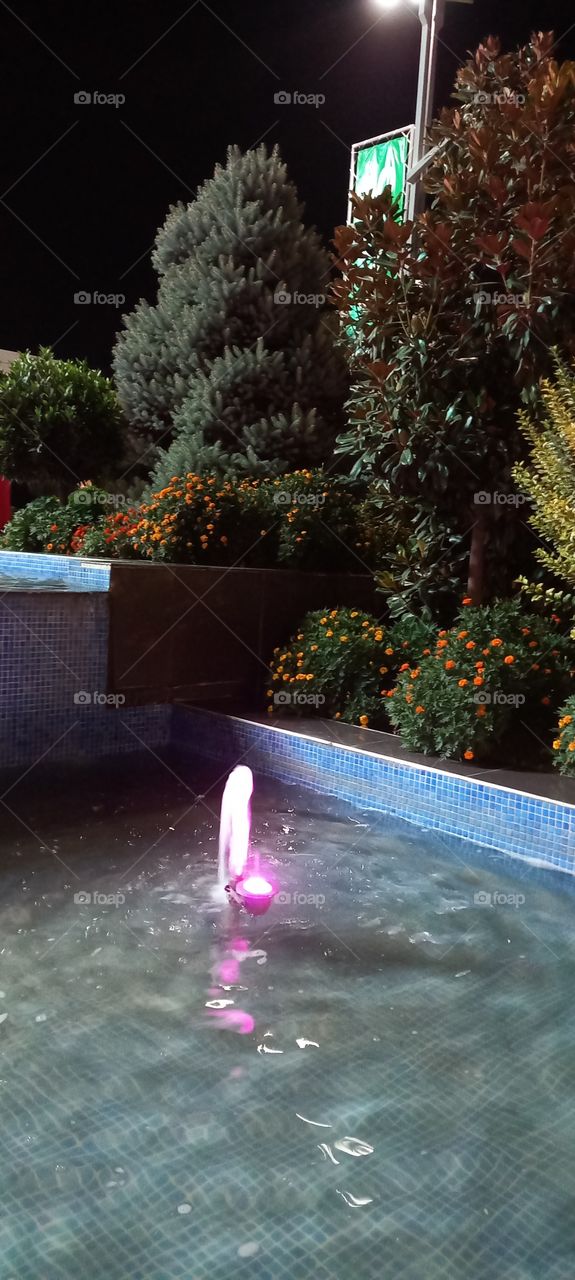 fountain, clear water, good evening, harmony flowering trees