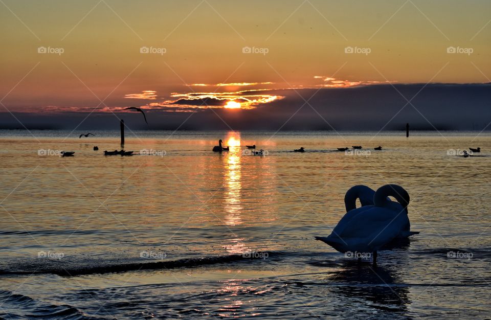 Sunset, Water, Dawn, Sea, Reflection