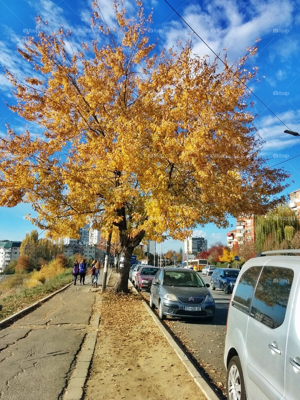 Autumn in Pristina, Kosovo