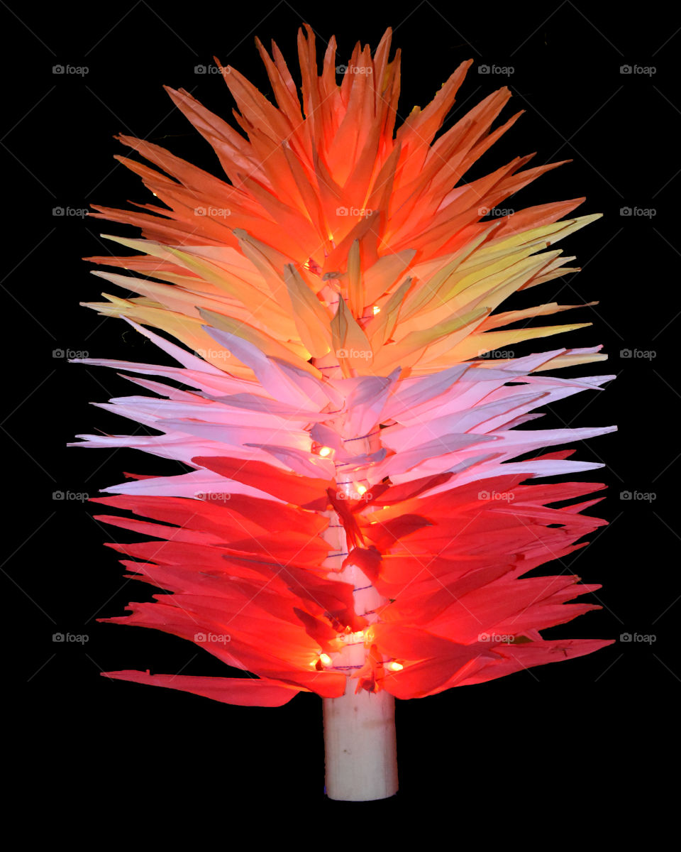multicolored paper flower glow on night