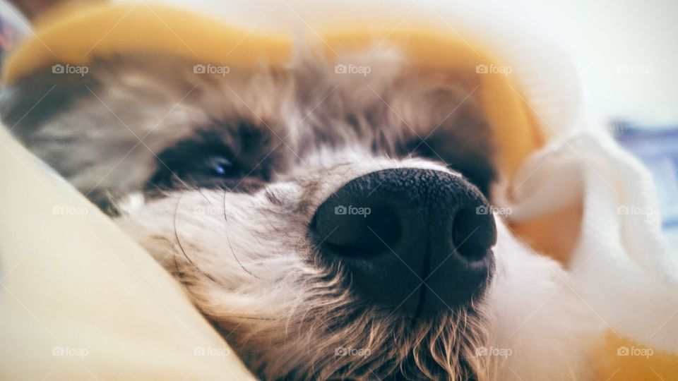 not thumbs upping alarms.