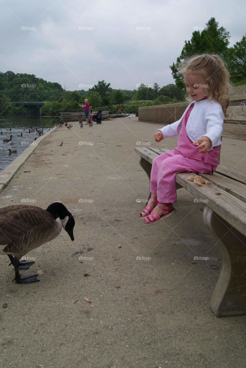 Feeding the Ducks