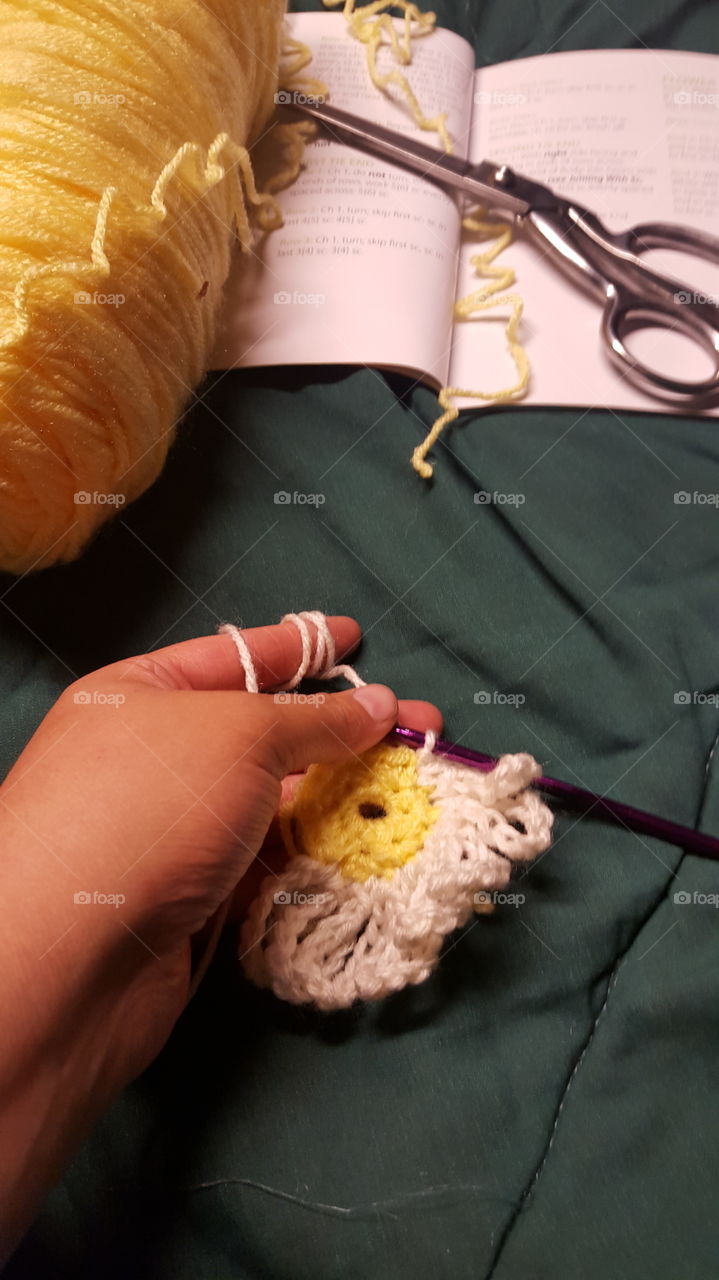 crochet daisies