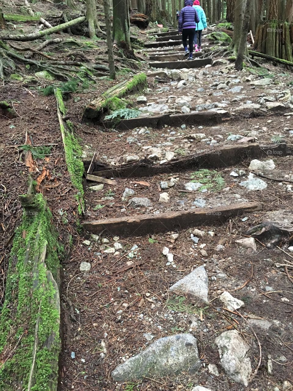 Grouse Grind stairs Vancouver British Columbia Canada