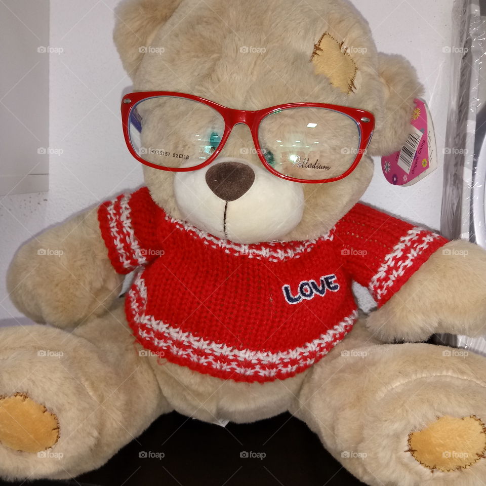 urso de óculos