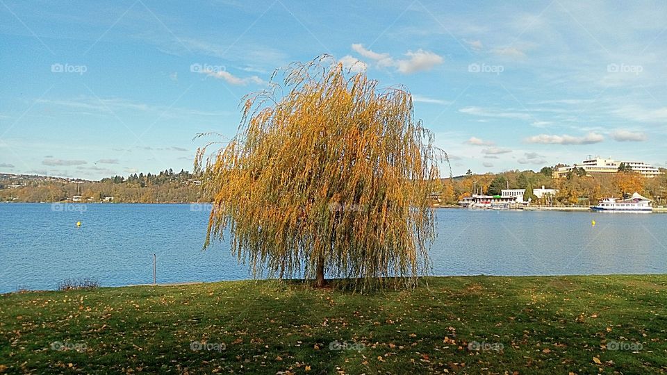 Osservando l'autunno