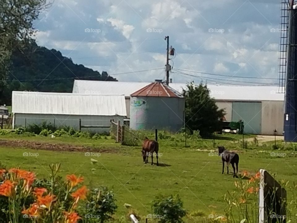 Driving the Back Roads and enjoying everything around us