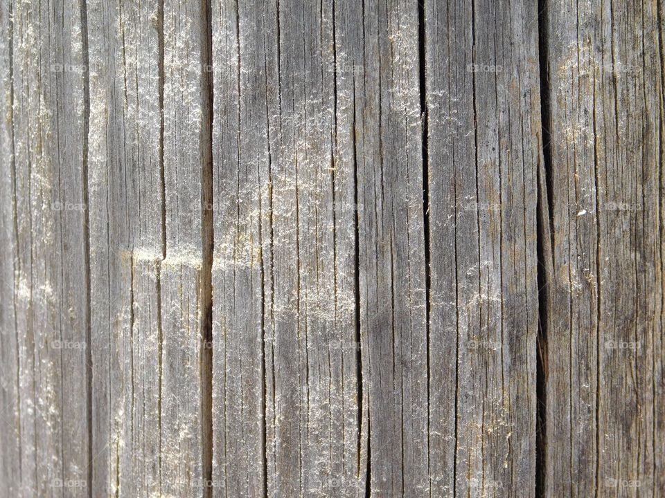 wood texture