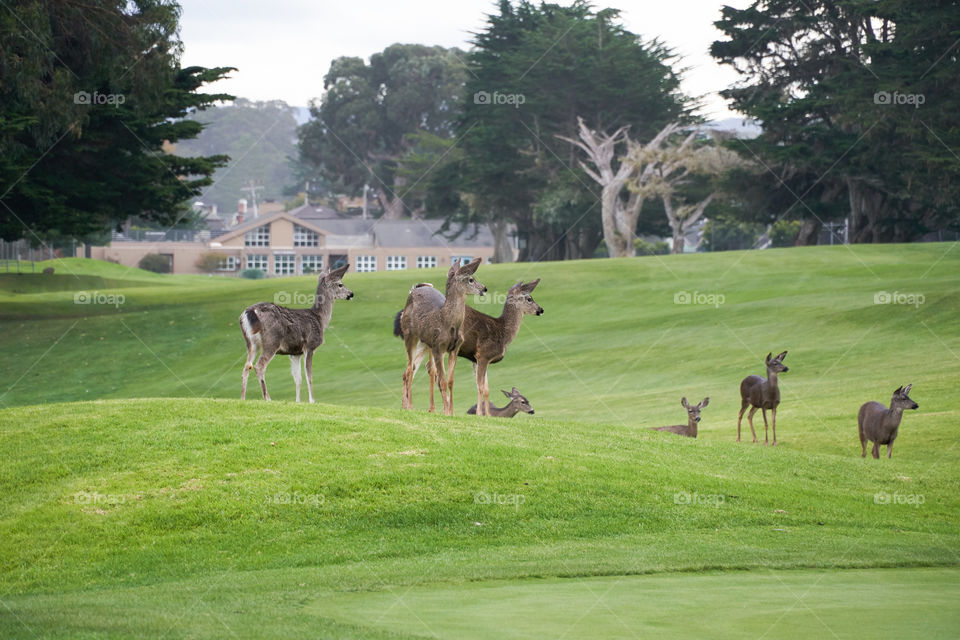 Deep at Monterey, California, usa💙💙💚