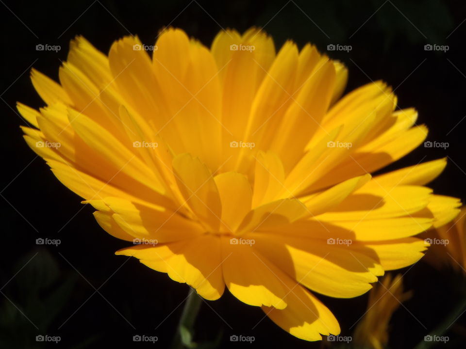 Sunshine on the ground level