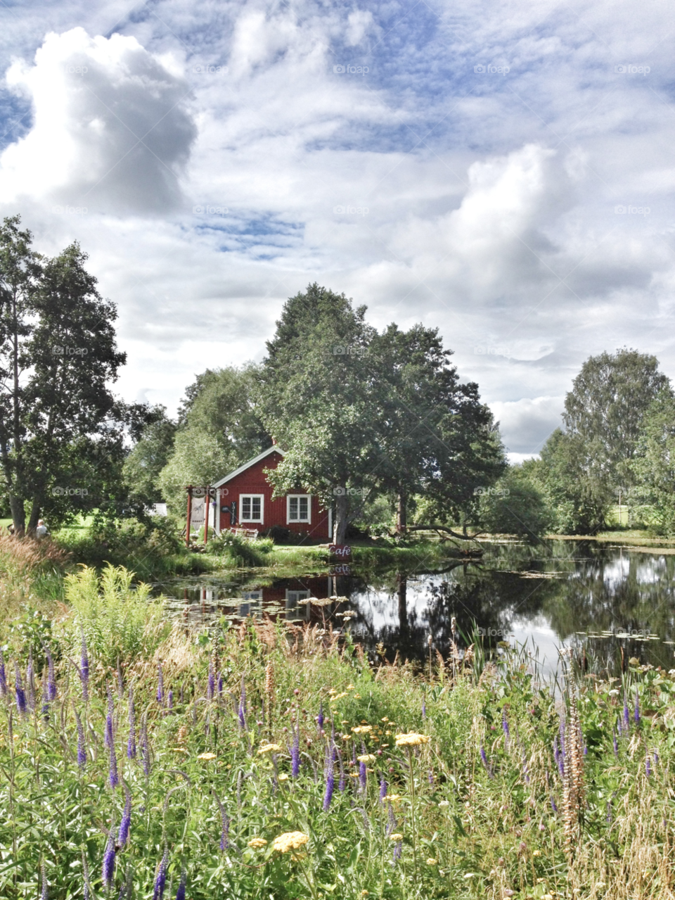 sky sweden flowers garden by piaktw