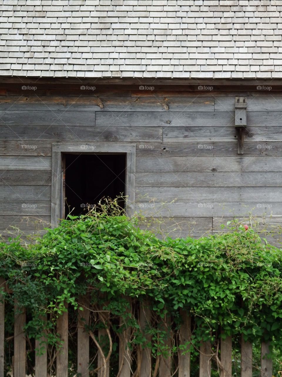 Rustic wooden window