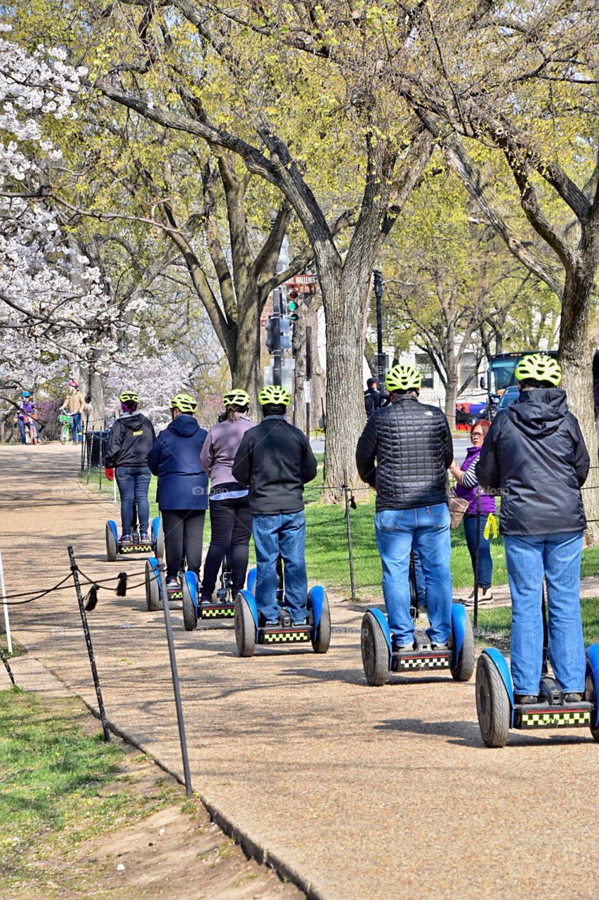 Spring has sprung, the cherry blossoms are in bloom and the Segways  are on the move.