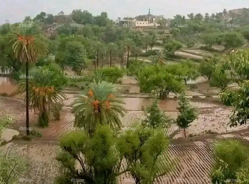 Glory be to God, the magnificent and picturesque view and the natural green trees are a view that is nothing more wonderful than it