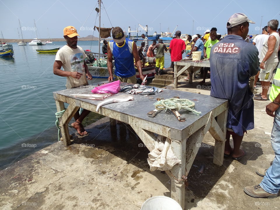 Fishermen's cleaning the fish