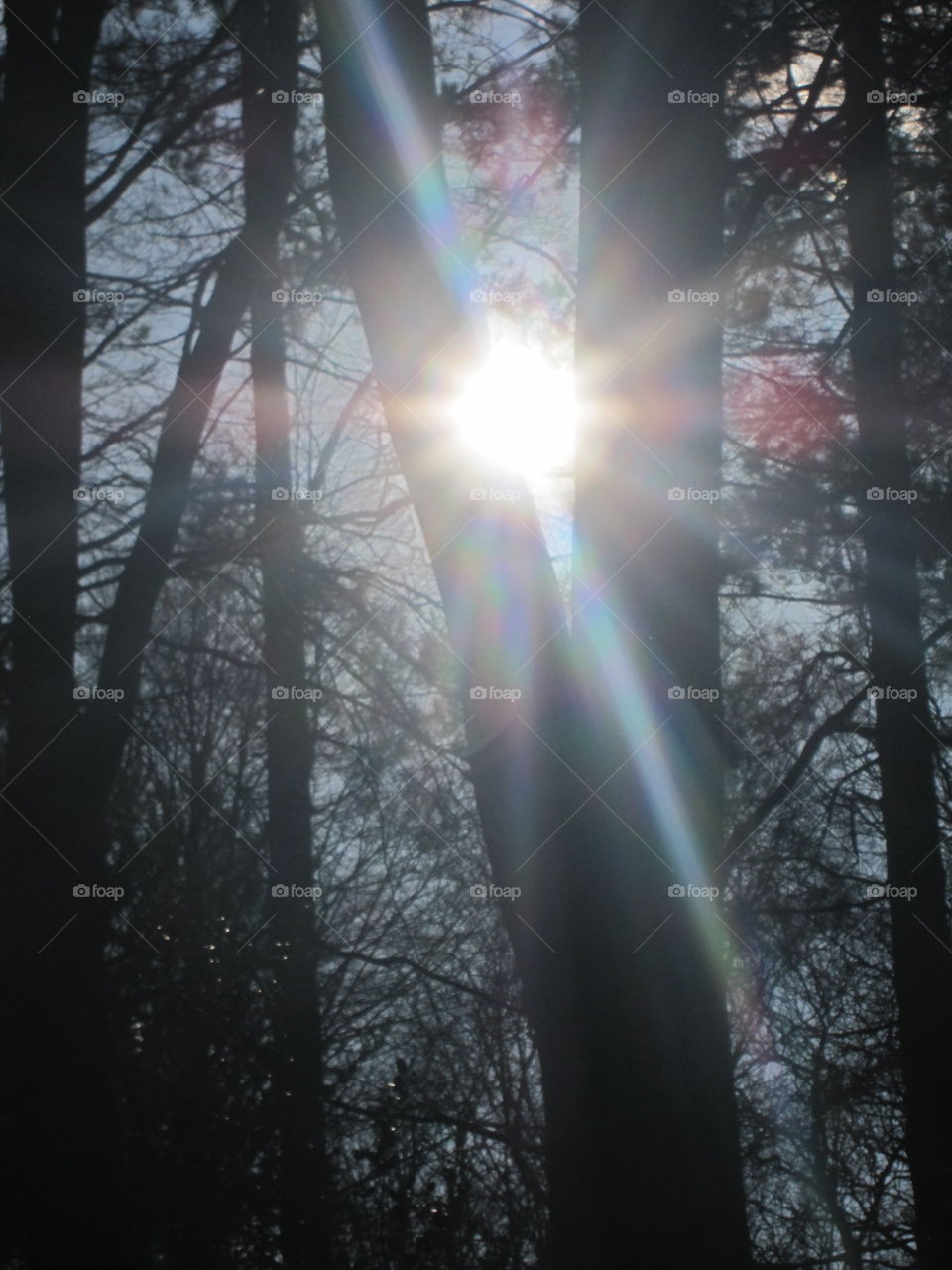 Colourful Sunrays