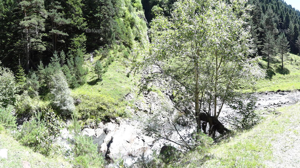 Grass mountain river