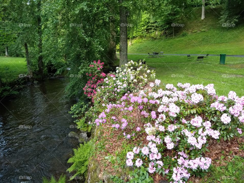 Kurpark in Bad Wildbad