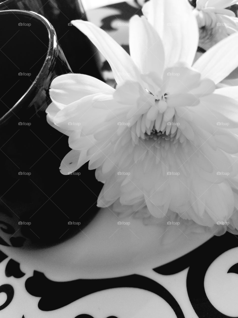 flower and cups in black and white
