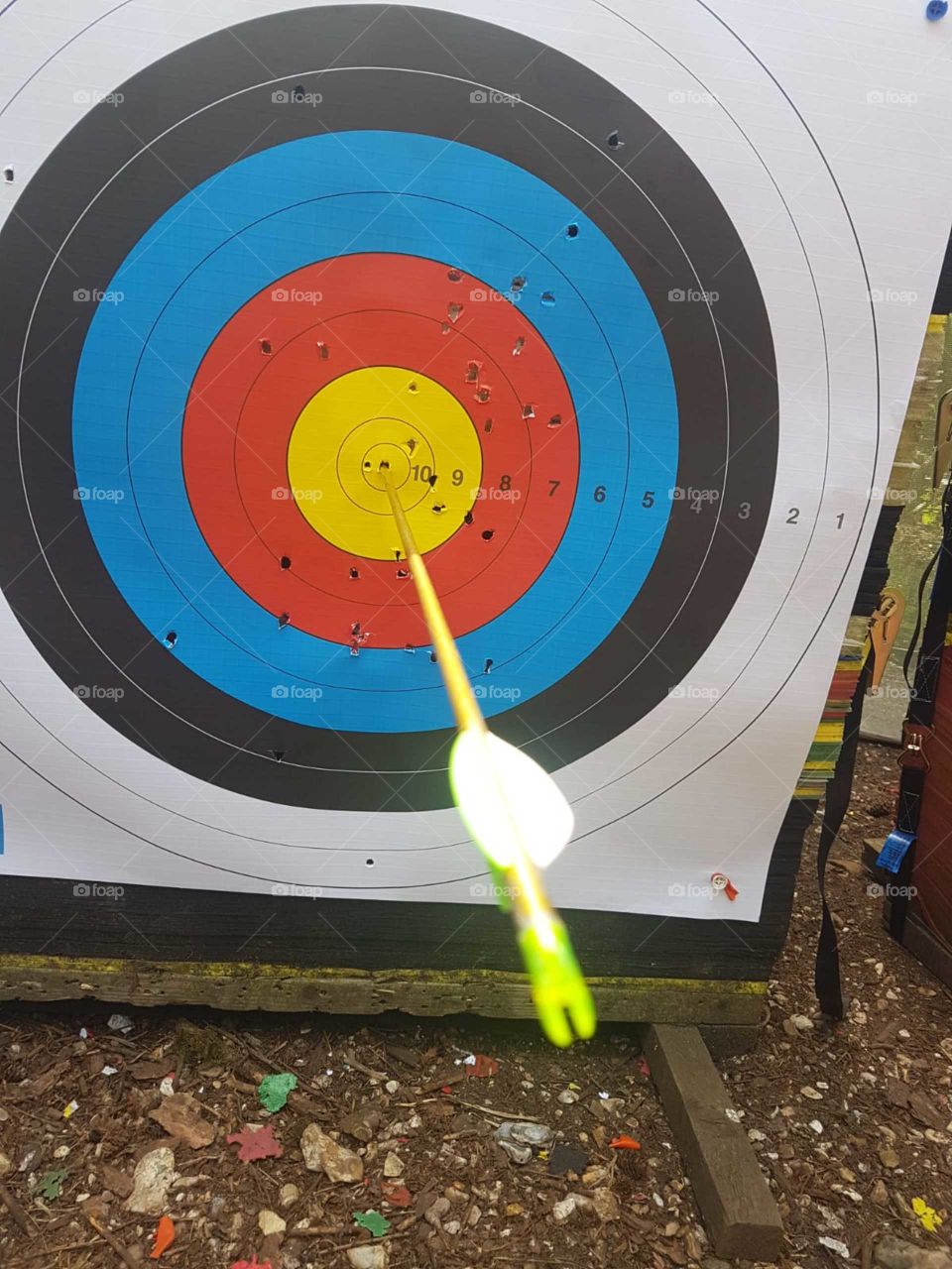Bullseye. Archery in the New Forest.