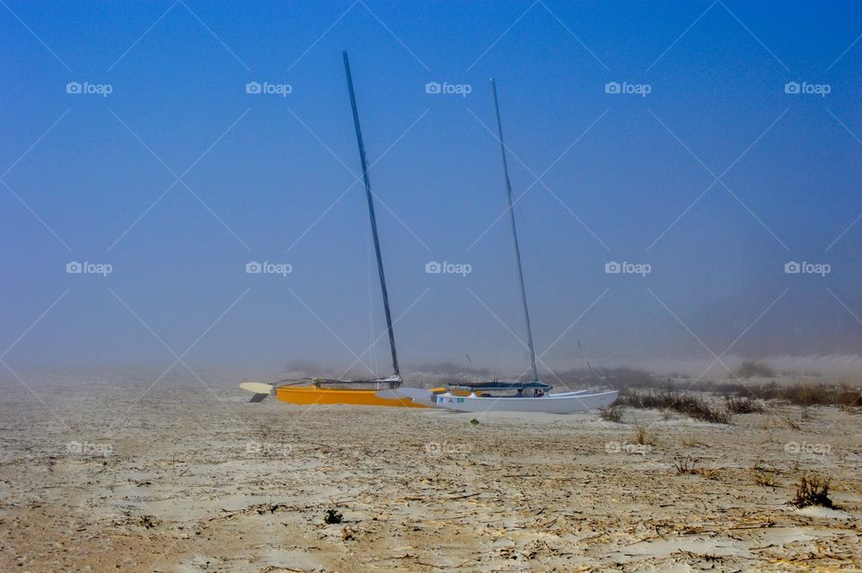 Morning Fog on the Beach