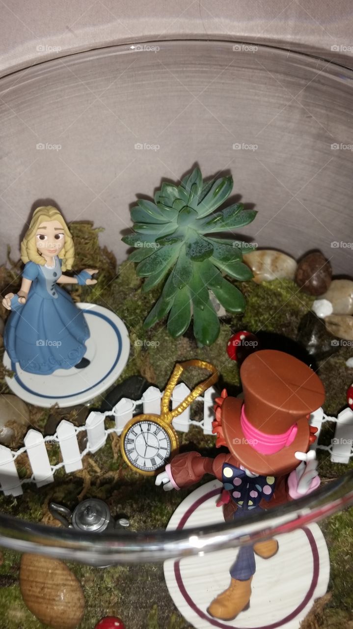 Alice IN Wonderland Terrarium