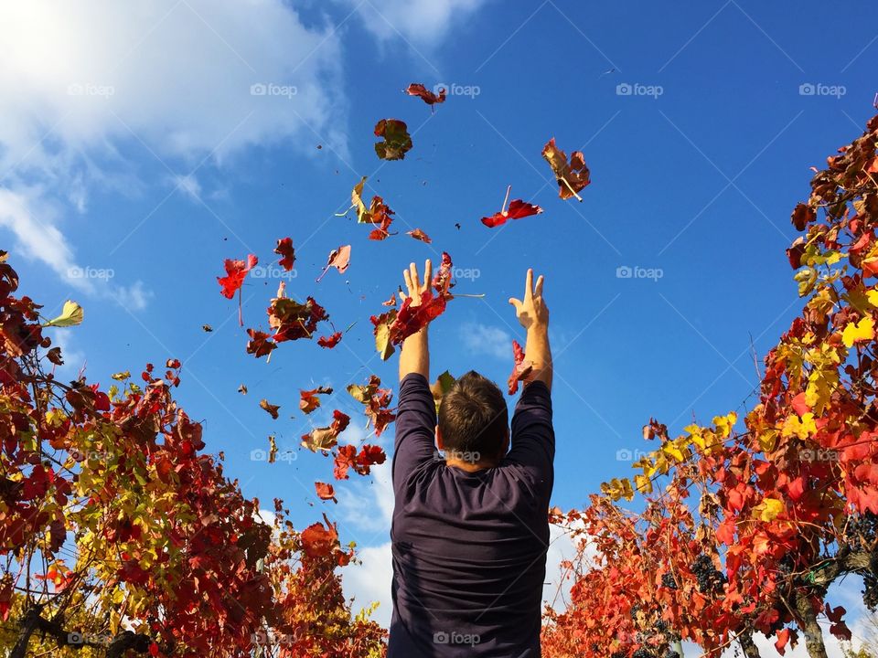 Autumn atmosphere with red leaves all around me