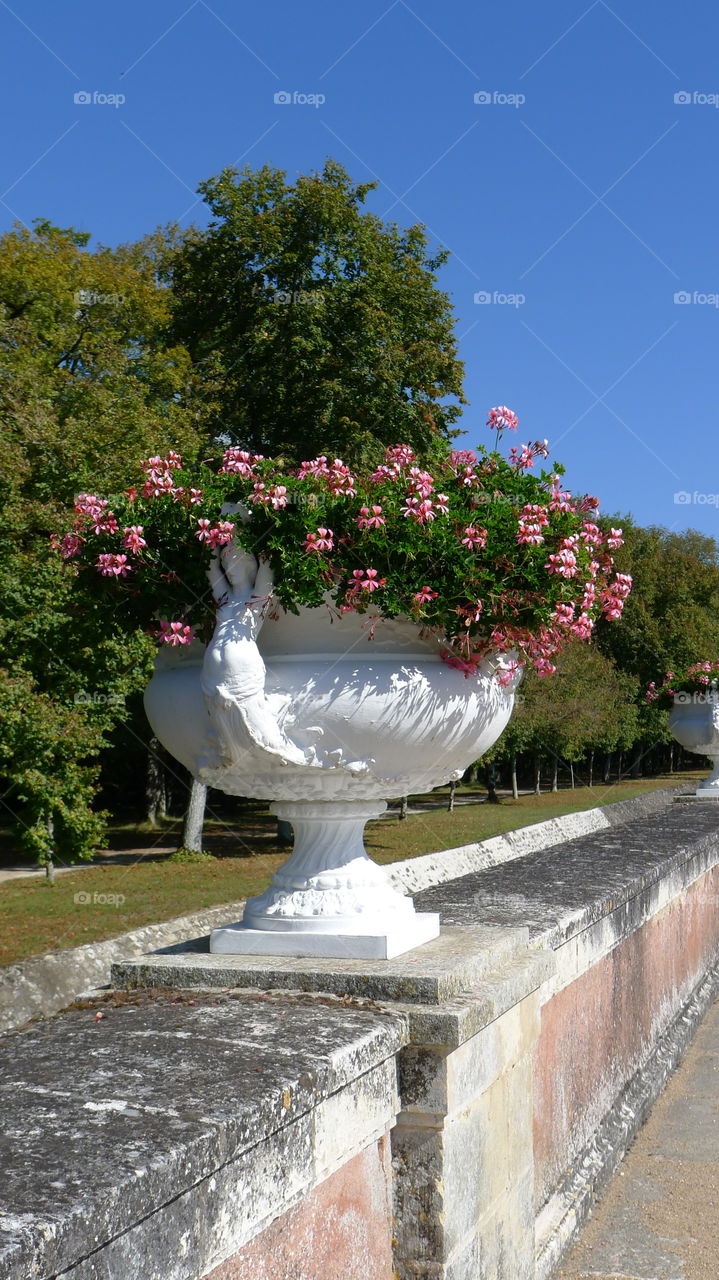 French county style with beautiful and elegant flowers 