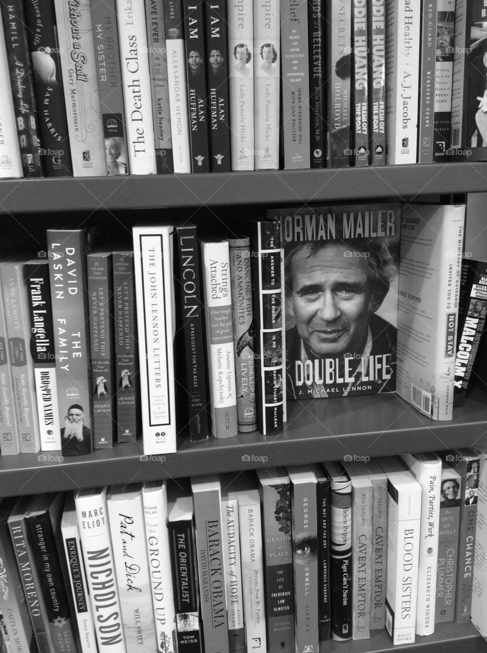 Black and white shelves of books