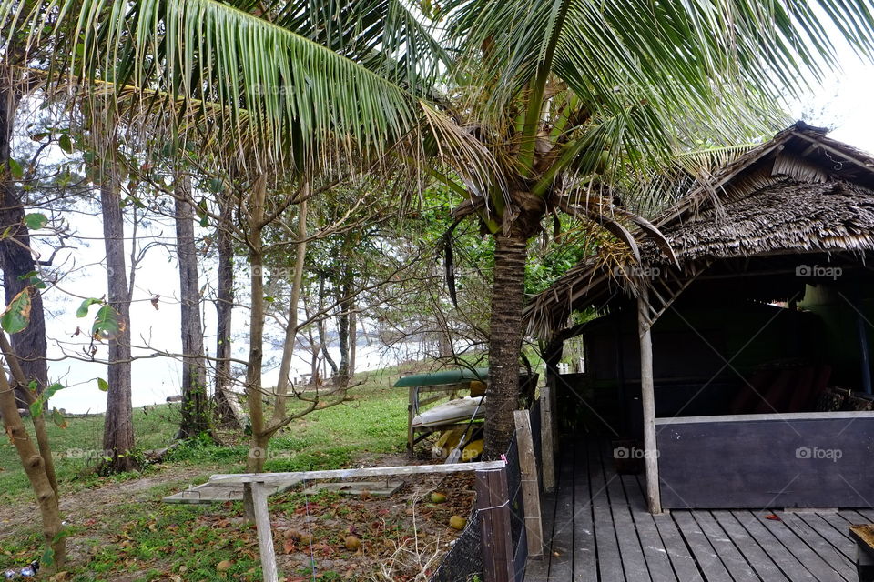 Scene from a coconut stall on the beach