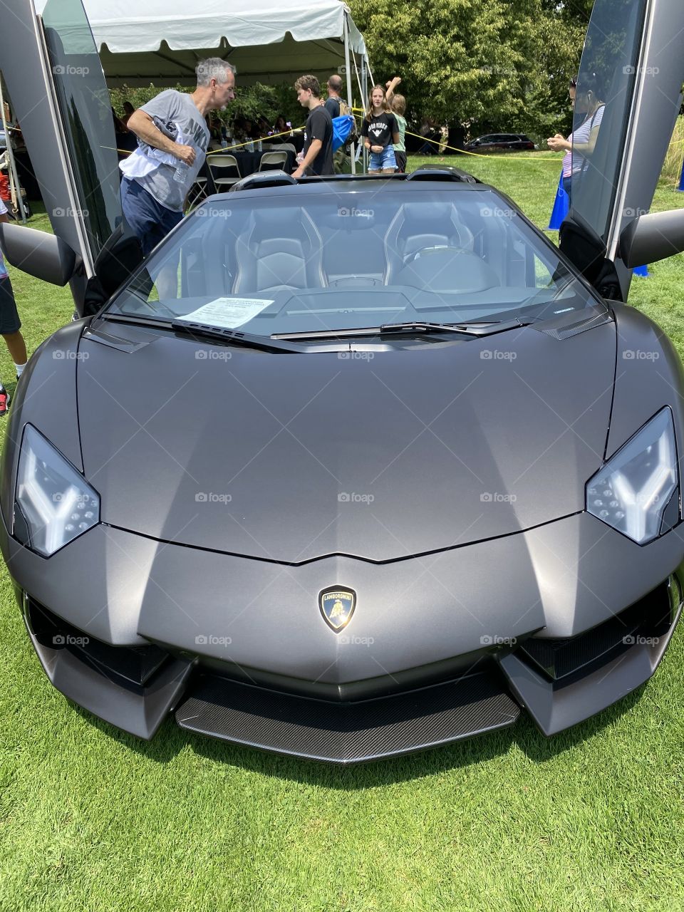 What dreams look like 