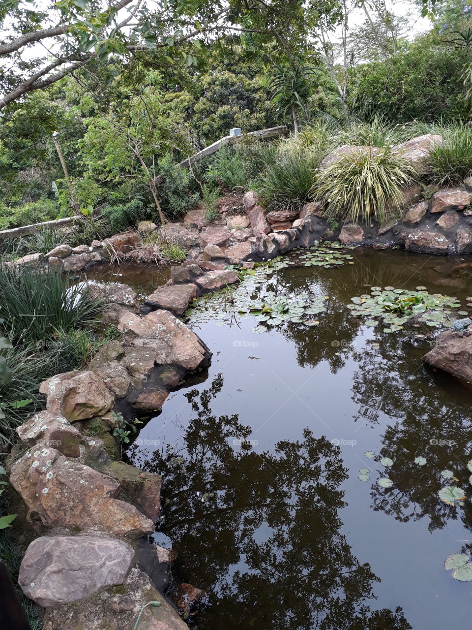 Pond in the mountains