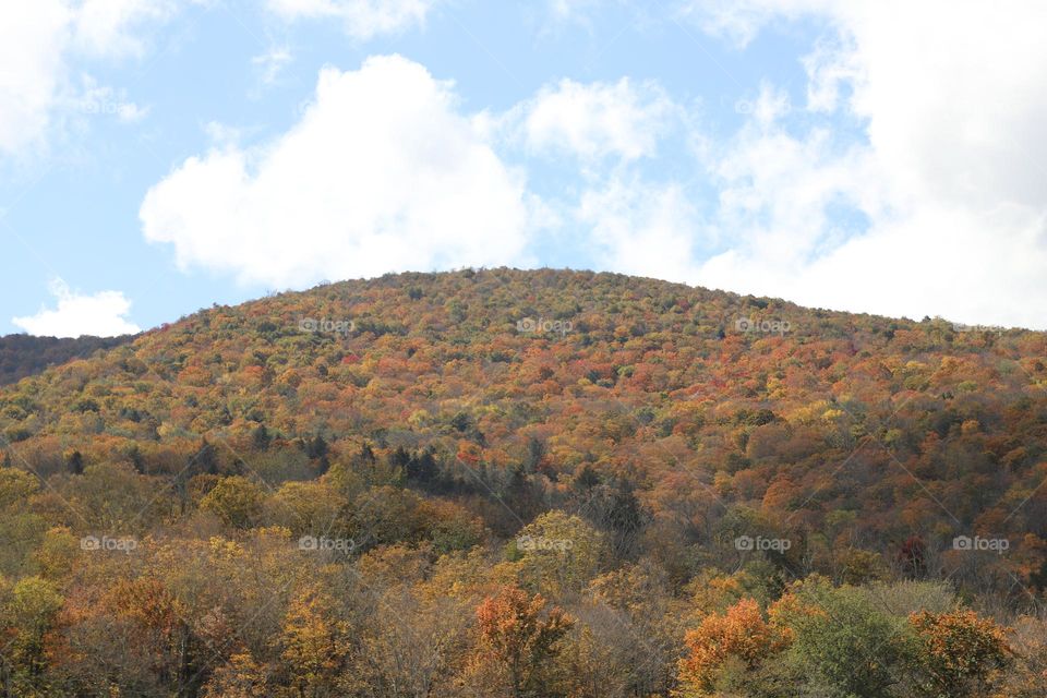 Fall in the mountains 