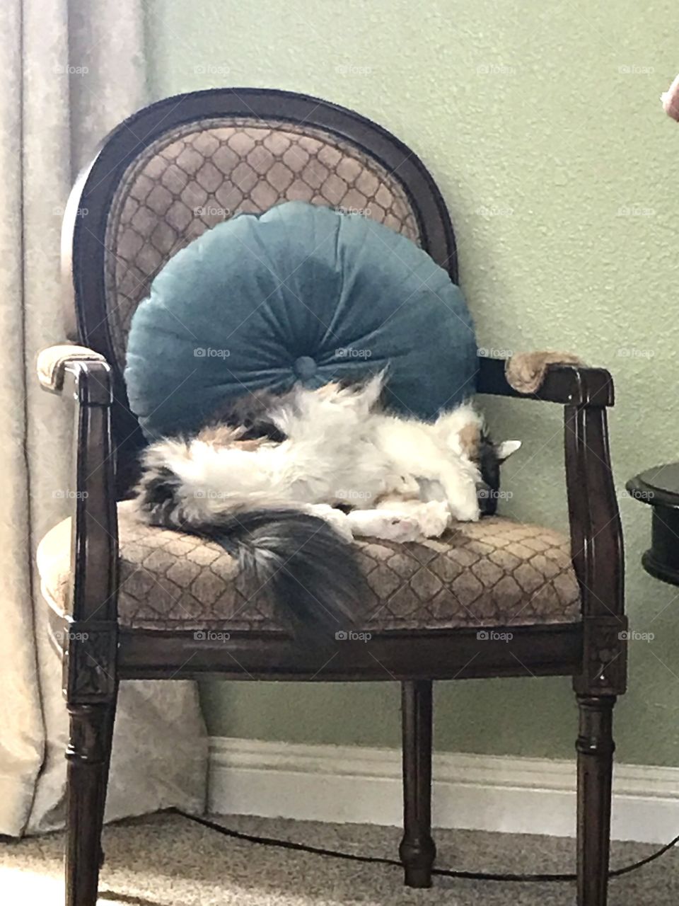 Ask me later—it’s nap time 